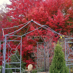 Veronica Mccullough S Profile Banner Elk Nc Us Pixoto