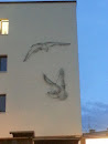 Birds on Wall