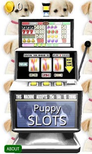 How to install 3D Puppy Slots - Free lastet apk for laptop