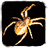 Spider - Live Wallpaper mobile app icon