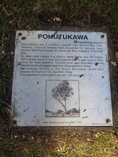 Cornwall Park Pohutukawa Plaque