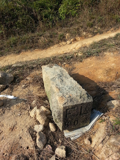 boundary stone FL804