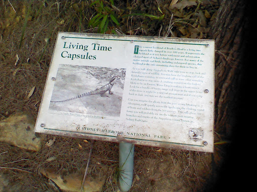 Living Time Capsule 