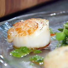 Pan-Seared Diver's Scallops with Roasted Red Pepper Paint and Basil Oil