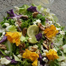 Chicory-Endive Roquefort  and Walnut Salad