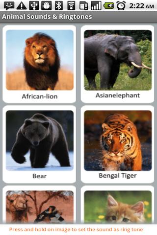 Animal Sounds Ringtones