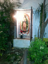 Altar a La Virgen De Guadalupe