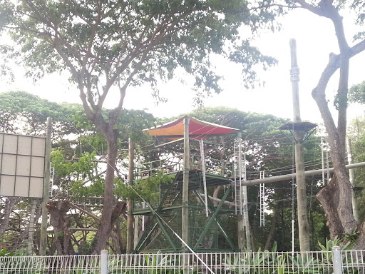 Flying Fox at Outward Bound