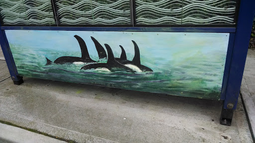 Orca Whale Stop