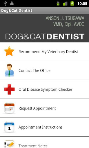 Dog Cat Dentist