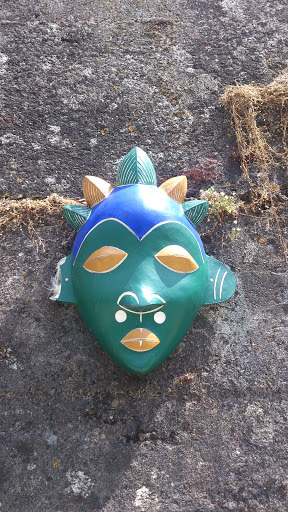 Masque Vert Sur La Saône