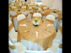 Agencia De Festejos Producciones Y Eventos Bolano