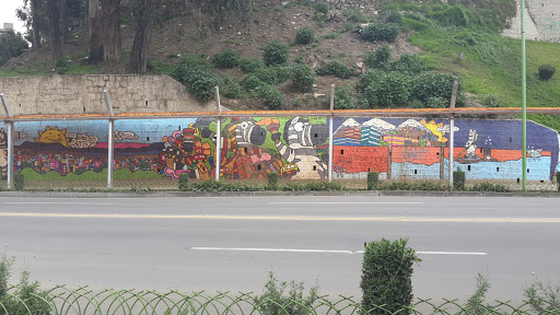 Mural Cebra