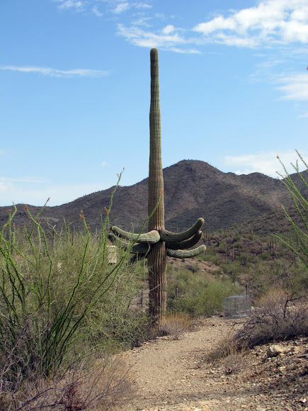 Spotting Image 1