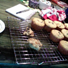 Golden Oatmeal Muffins