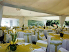 Catering Y Services