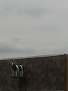 Cow on Ledge Frankfort 