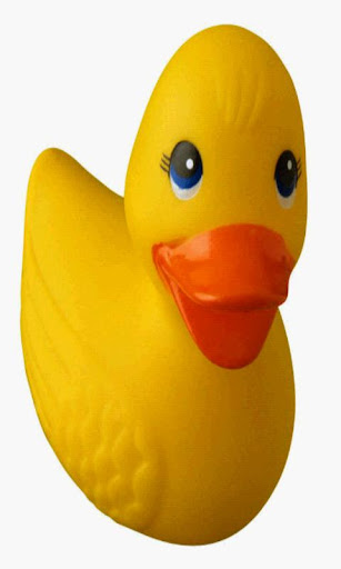 Rubber Ducky - Free