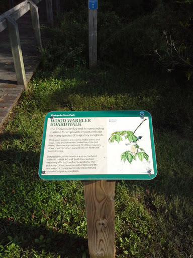 Wood Warbler boardwalk