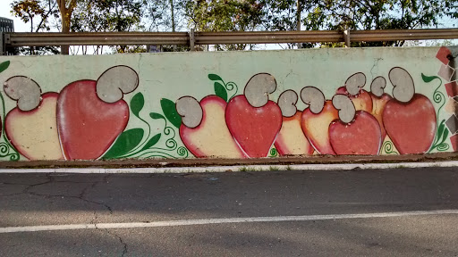 Cajús Graffiti