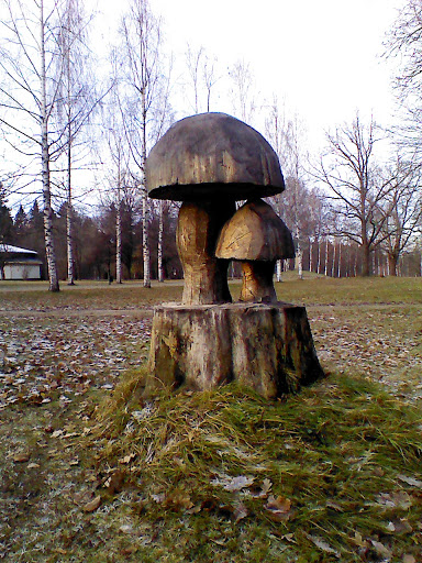 Trädsvamp - Skulptur Gjord Med Motorsåg