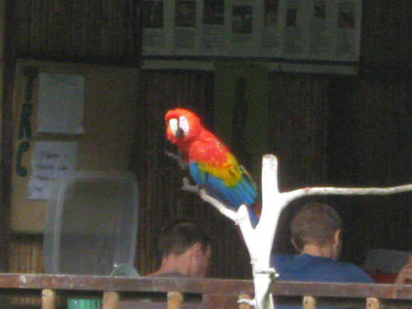 Spotting Image 1