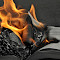 Burningbook.jpg