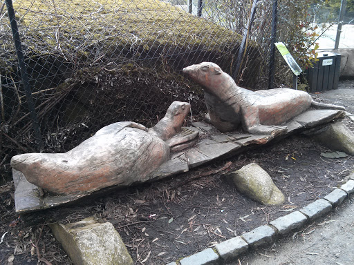 Carved Sealions