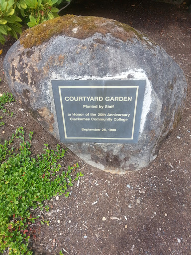 Courtyard Garden 