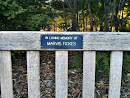 Marvis Fickes Memorial Bench