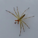 Magnolia green jumper