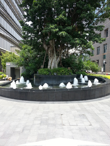 榕树喷泉