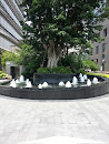 榕树喷泉