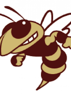 How to install LH Hornets XC 1 apk for bluestacks