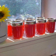 Hot As Hell Habanero Zucchini Jelly
