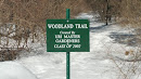 Woodland Trail 
