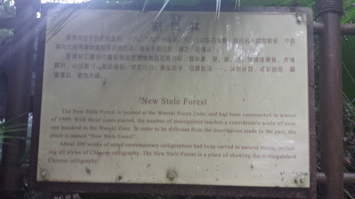 New Stele Forest