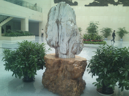 China CDC·Special Stone Statue