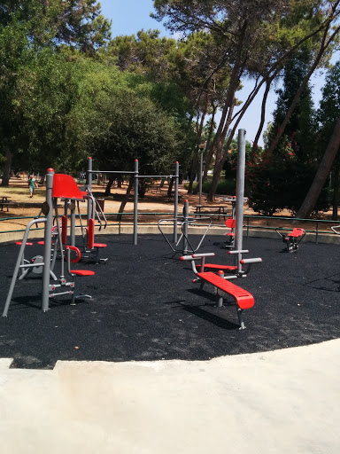 Gym In The Park