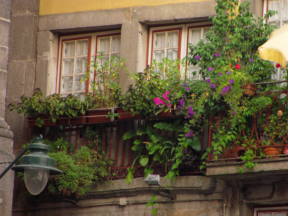 Spotting Image 1