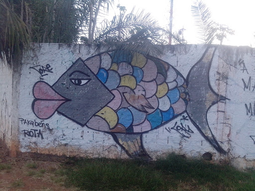 grafite peixe cubista