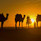 Jaisalmer-1.jpg