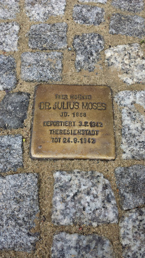 Stolpersteine Julius Moses