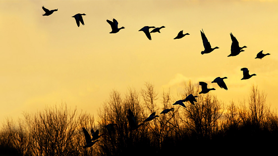 How to download Pensamientos Espirituales 1.0 unlimited apk for bluestacks