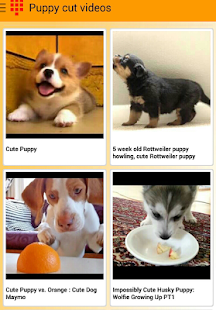 How to mod Happy Puppies Videos 2.2.3 unlimited apk for android
