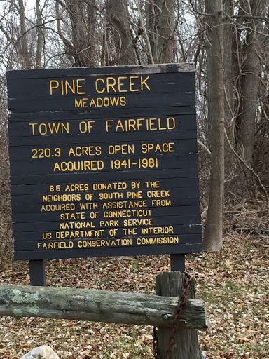 Pine Creek Meadows