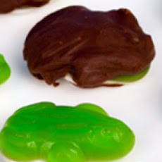 Harry Potter's Chocolate Covered Frogs