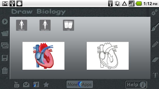 Draw Biology