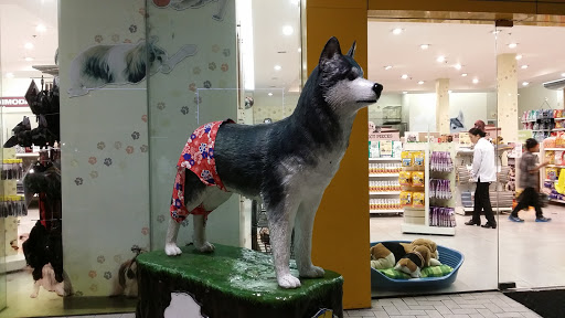 Hachiko With Skirt