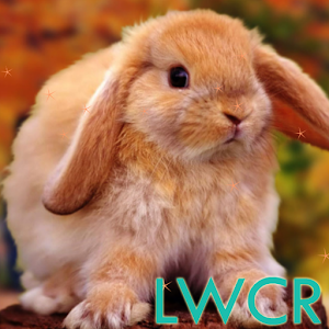 Rabbit Live Wallpaper.apk 1.0.8
